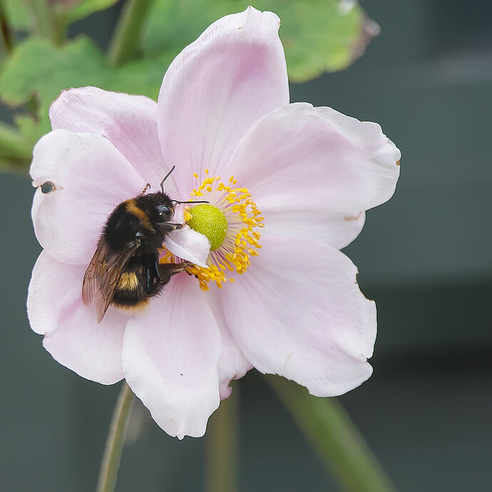 2026-03-30_16-49-24.04_DSC1873