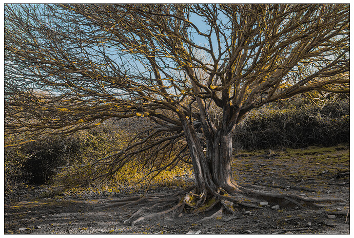 2022-01-31-11.58.58.0