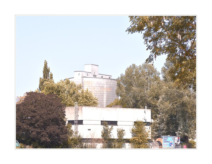 P8020010_0