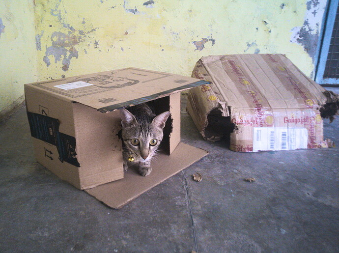 20240225_1708832906561