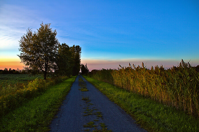 IMG_0745-Darktable and GIMP (Jpegli)