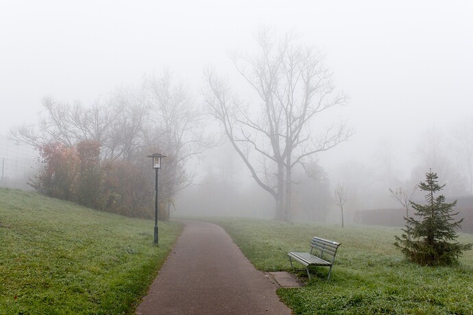 2025-11-06-08-15-24-P1080494