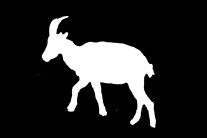 DSCF2999_m0