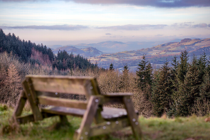 DSC00076-GIMP_CCR_L-a-b