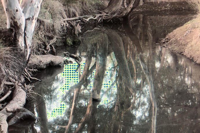 Tartan green