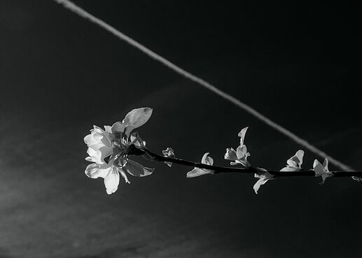 20240412-151955-035_0_01