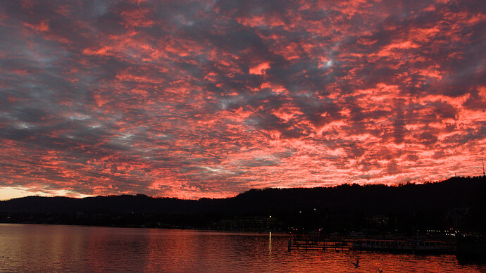 2023-12-19_15-52-23_P1020971