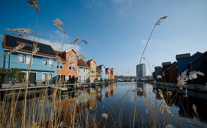 20260303-124152-DSC_0173