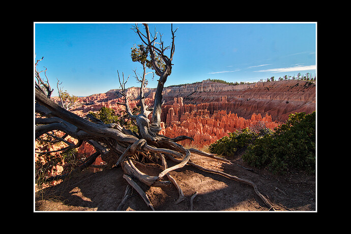 IMG_0440