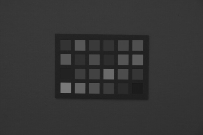 SDIM1101-RAW-R