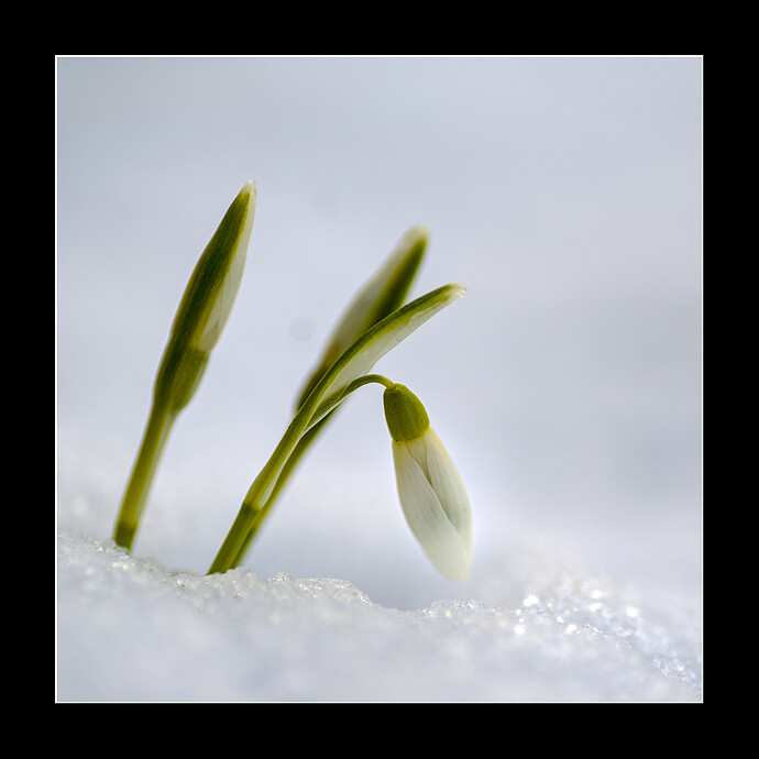 260216_132504_DSC08614_01