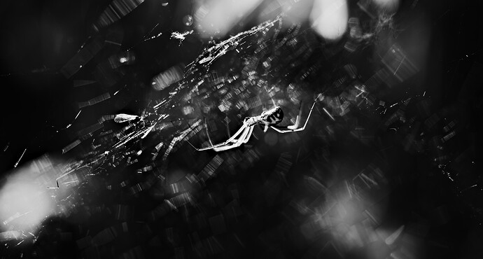 2023-05-23__DSC05176-1