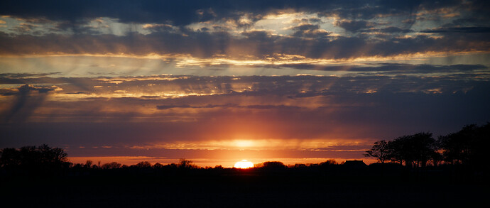 20260408-192202-DSC_1362-0.NEF