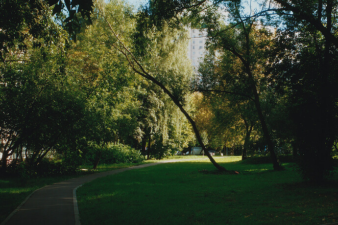 thin_R0024045