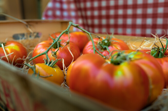 2022-08-07t15-40-50_1144