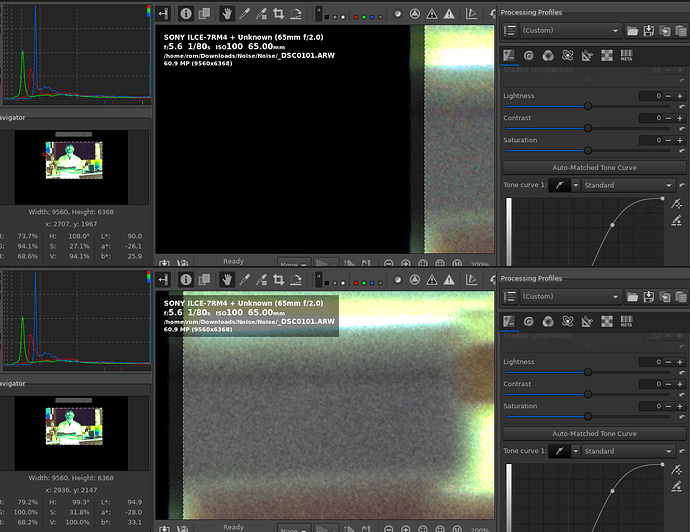 Noise Reduction negated on export RawTherapee discuss.pixls.us