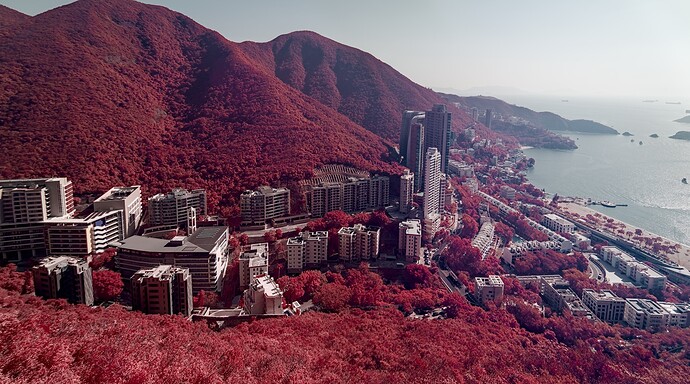 Group 0-DSC01298_DSC01301-4 images