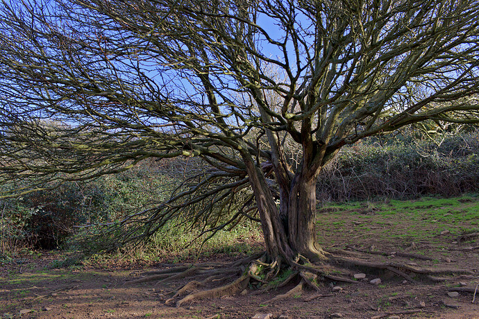 2022-01-31-11.58.58.0_1