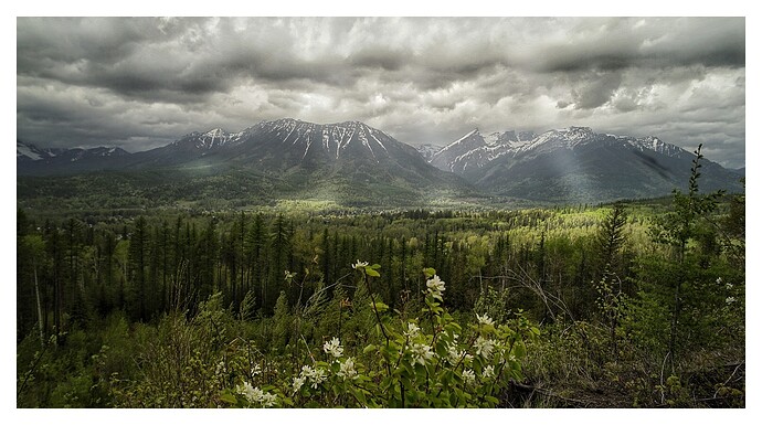 _DSC5438_2