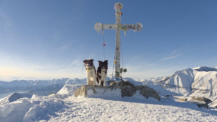 7E397BA1-D19C-425C-9276-A83469066493