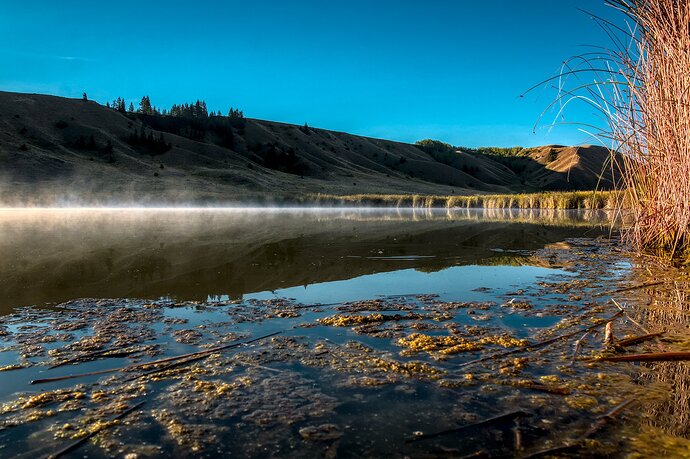 _DSC1450_02