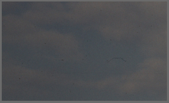 rogonar-80mm-topleft-opal-at-50mm-from-img_5458