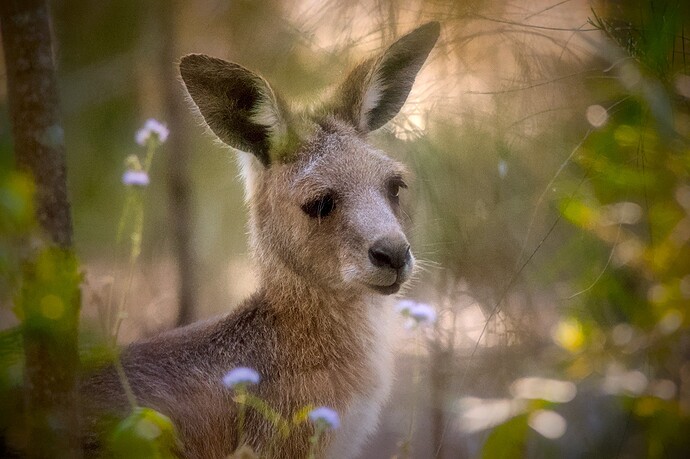 2023-07-16_13-53-51.21_DSC5907