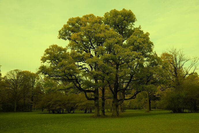 Default-exp+2-2-cc picker-select cloud