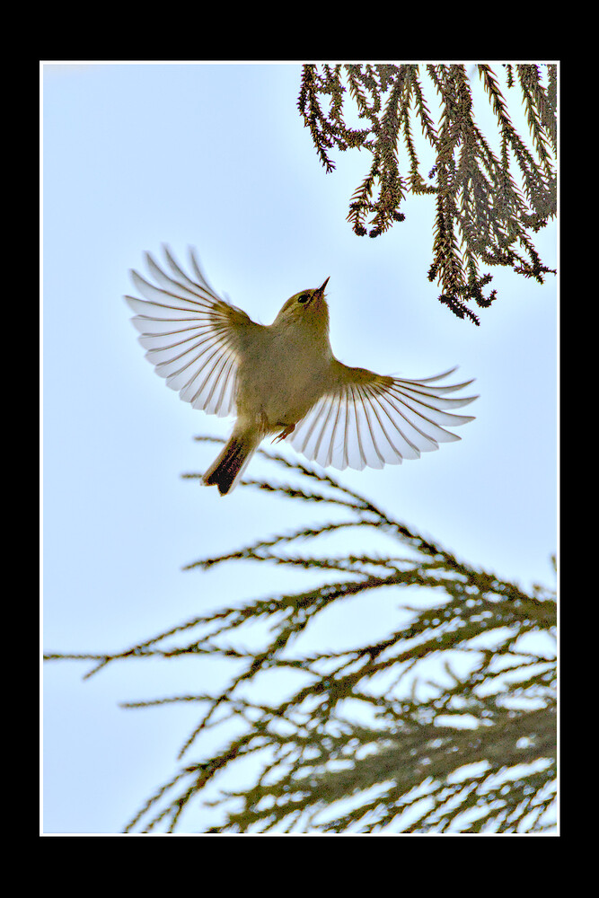 IMG_2026-01-12_12-17_0139