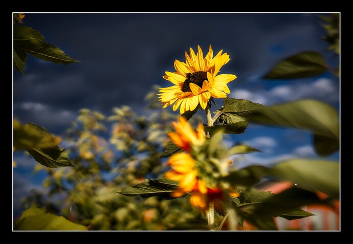 260905_183834_DSC07637