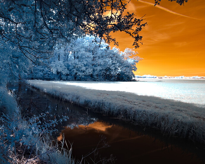 IRGP4981-Wandeling-ISO100.PEF