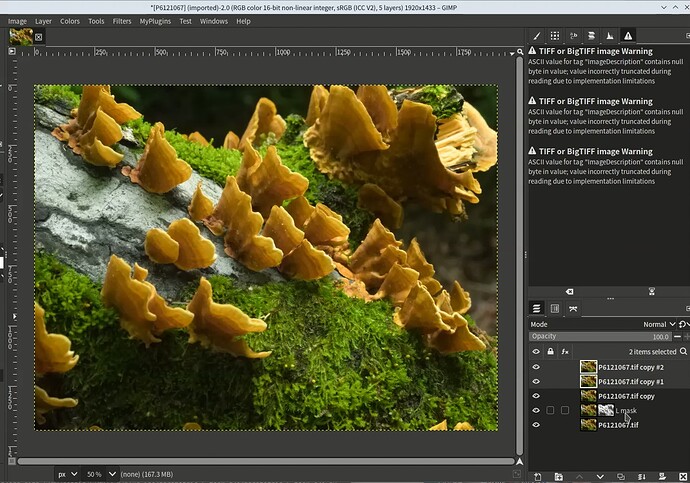 vokoscreenNG-2025-08-26_23-19-28-0001