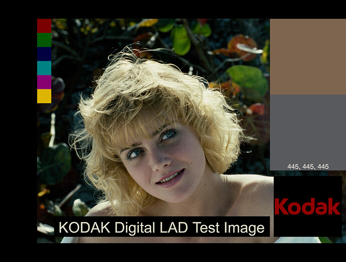 2393 Adobe
