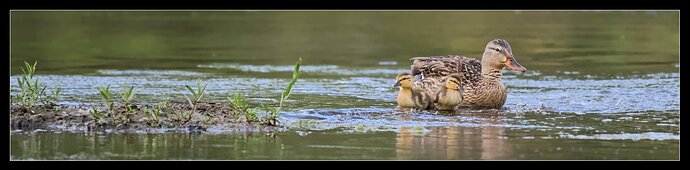 _DSC2702_0