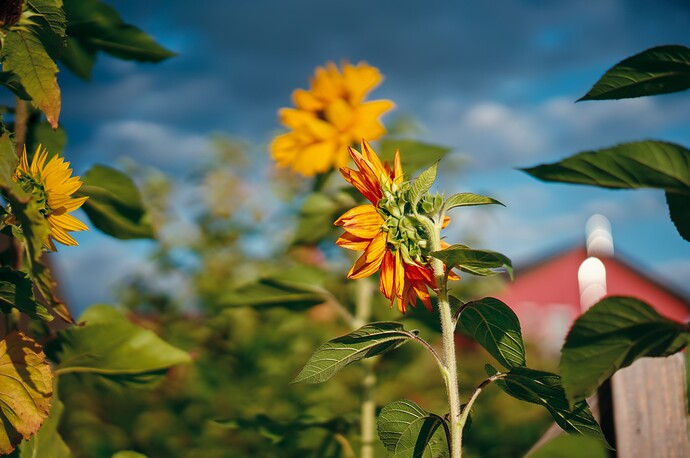 260905_183839_DSC07643