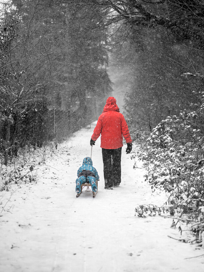 260103_161515_DSC08235