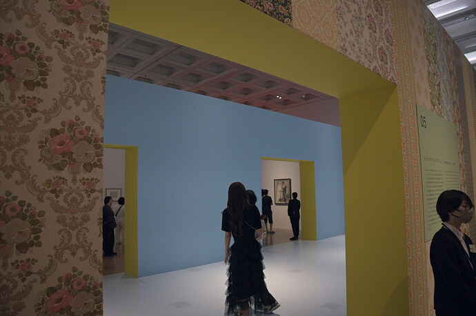 _DSC7061-Picasso exhibit