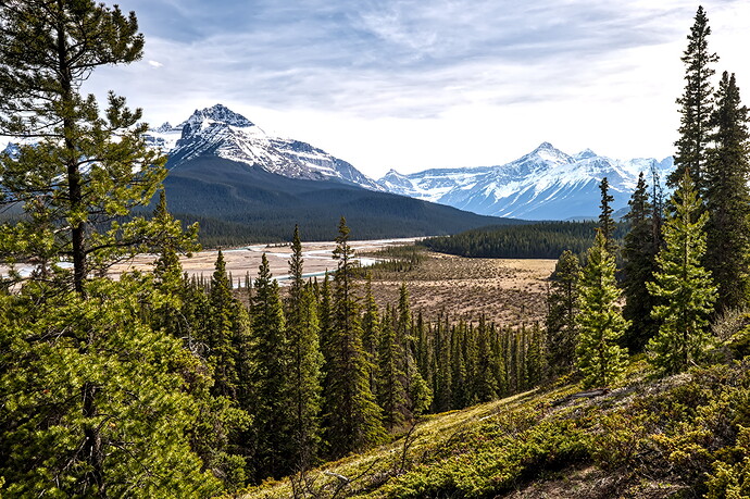 Spring - 2025-05-25_16-38-18-2025.05.25