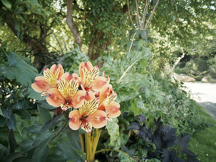 2022-08-06_en-chemin-vers-JP_0007