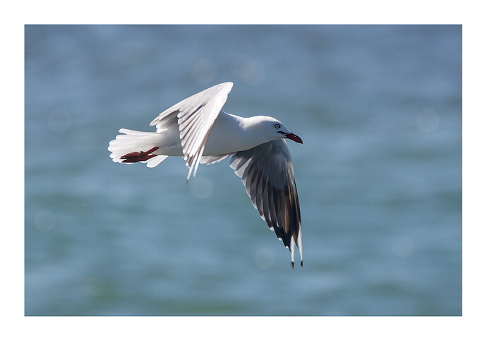 2026-01-09_14-45-42.37_DSC0515