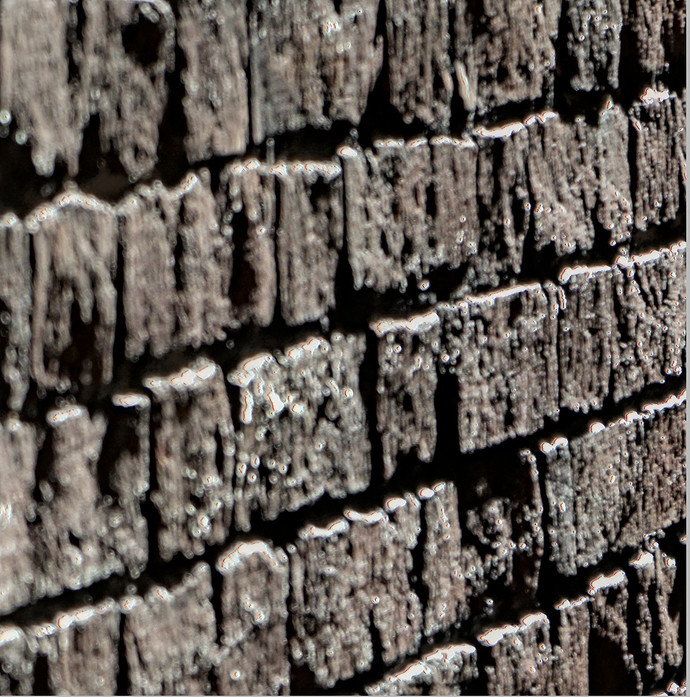 Captura de Tela 2021-02-17 às 21.00.29