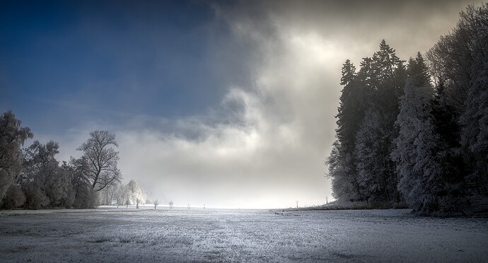 2024-01-14_14-03-19_DSC_0054