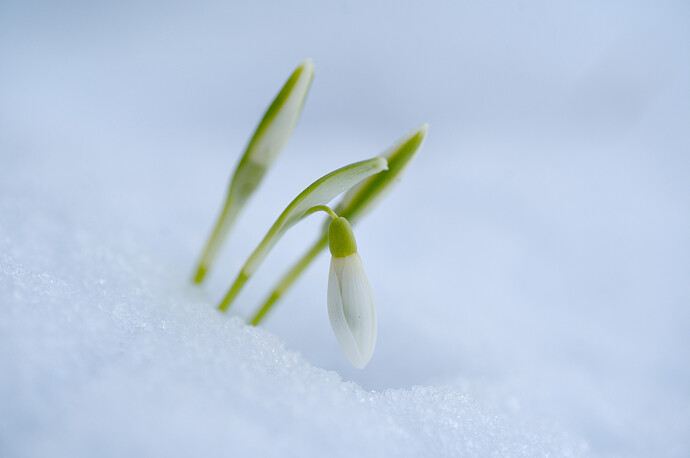 260216_132312_DSC08577