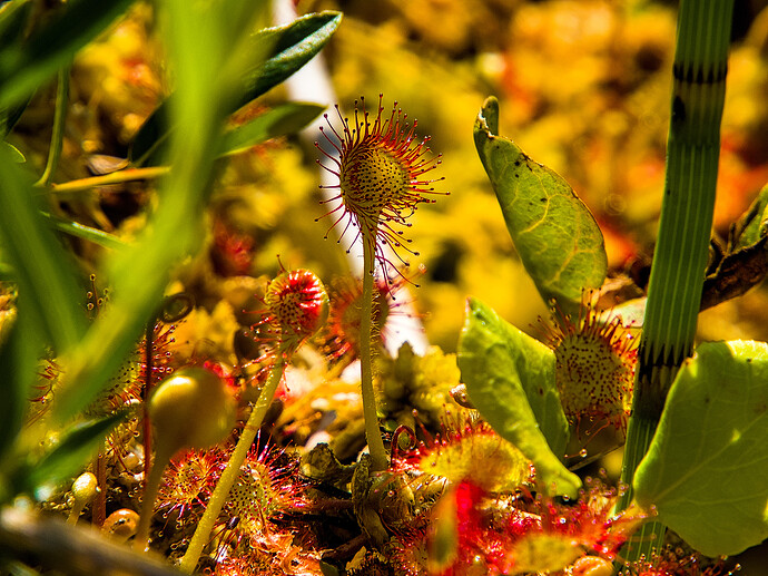 20240604-122450_F6041810_PEN-F0