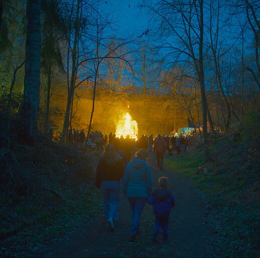 260404_202536_DSC09408