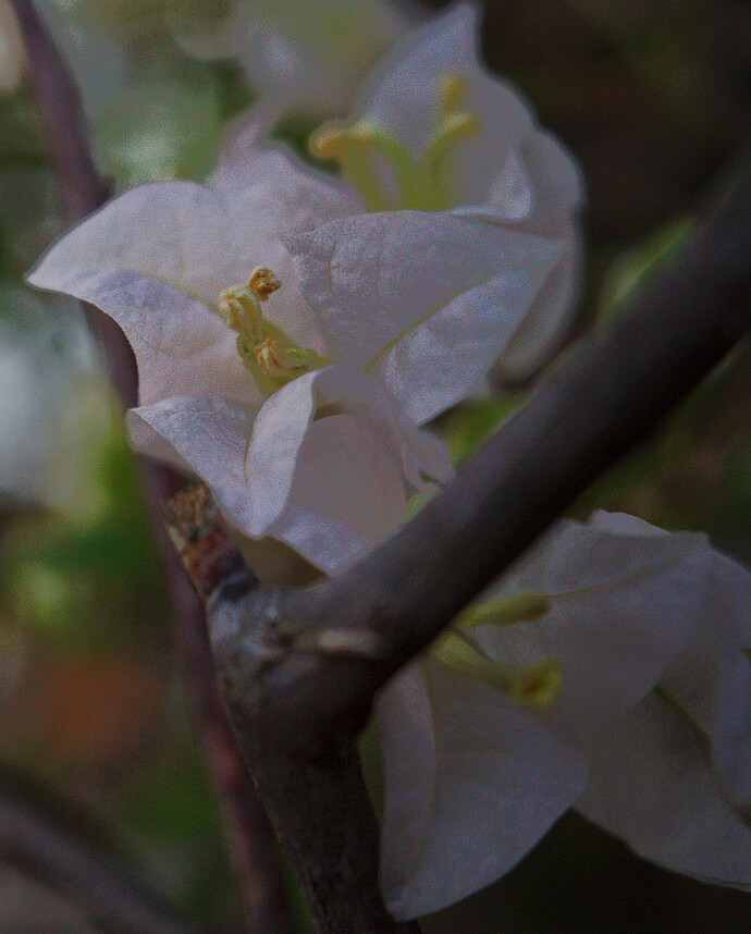 DSC09756_1
