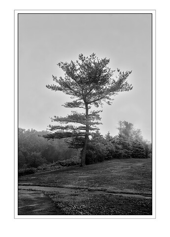 _DSC5403