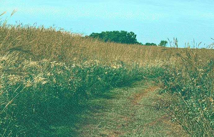 _MG_0672-playraw-rawconvert