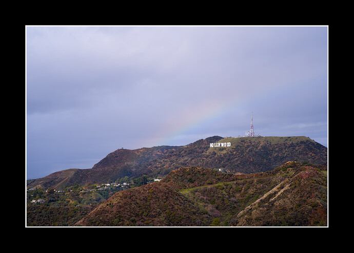 DSC_0976