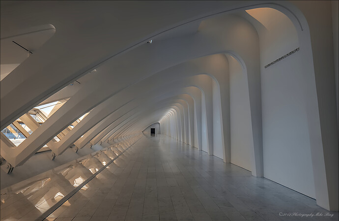 BMG03292-dt_01_filtered-2025-web